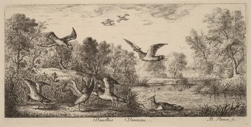Vanellus, The Lapwing by Albert Flamen, print, 1620-1669