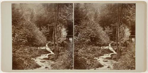 Untitled (Schweizerlat, St. Goarshausen) by Artist Unknown, photograph, 1860-1869
