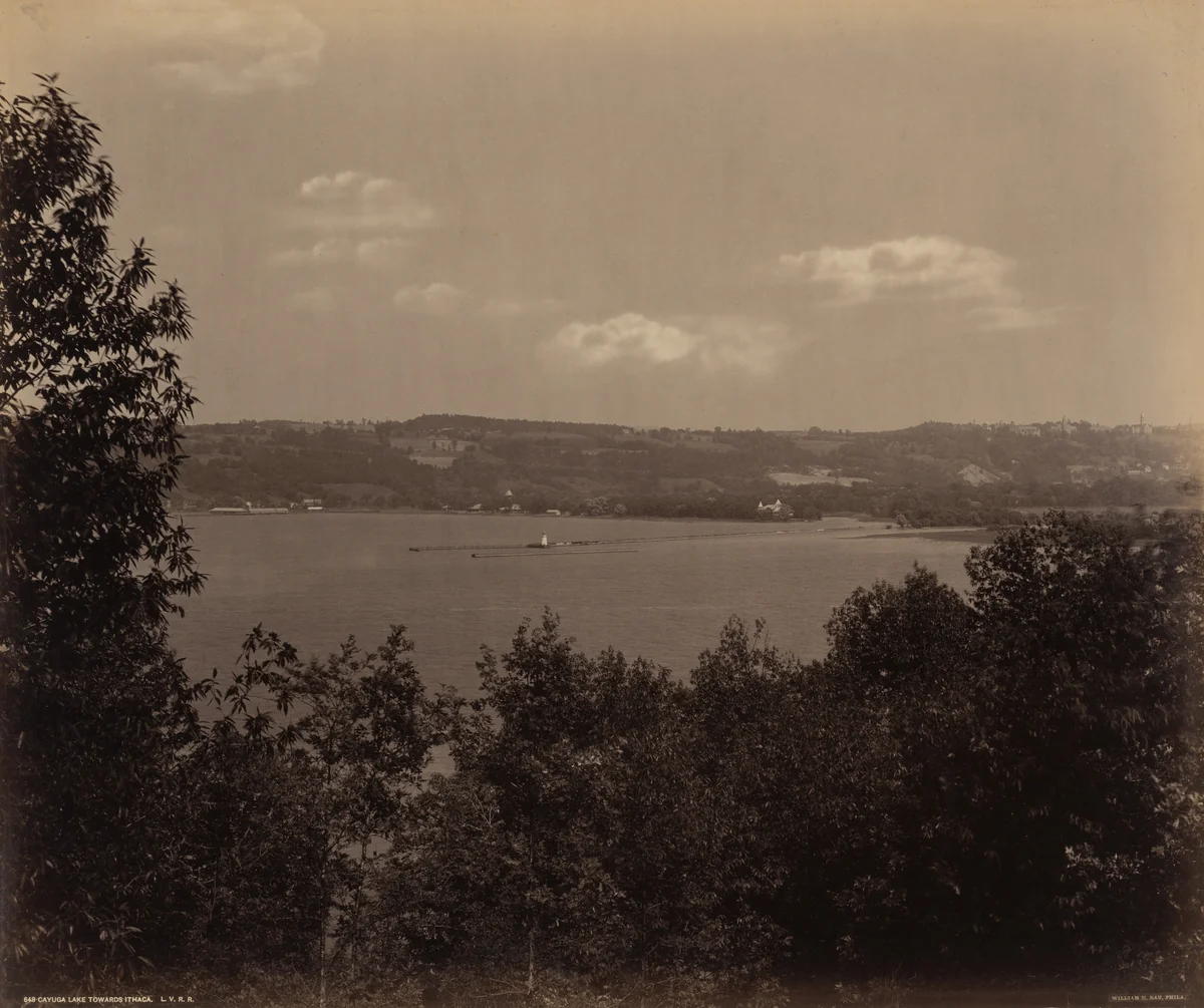 Cayuga Lake Toward Ithaca by William H. Rau, photograph, 1890-1900