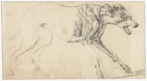 Hond in snelle loop by Ludolf de Jongh, drawing, 1626-1679