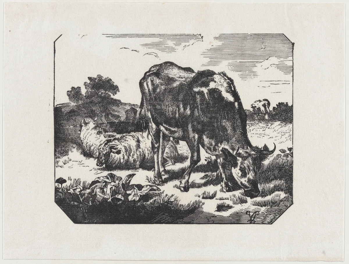 Bull and sheep in a pasture by anonymous, print, 19
