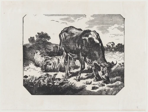 Bull and sheep in a pasture by anonymous, print, 19