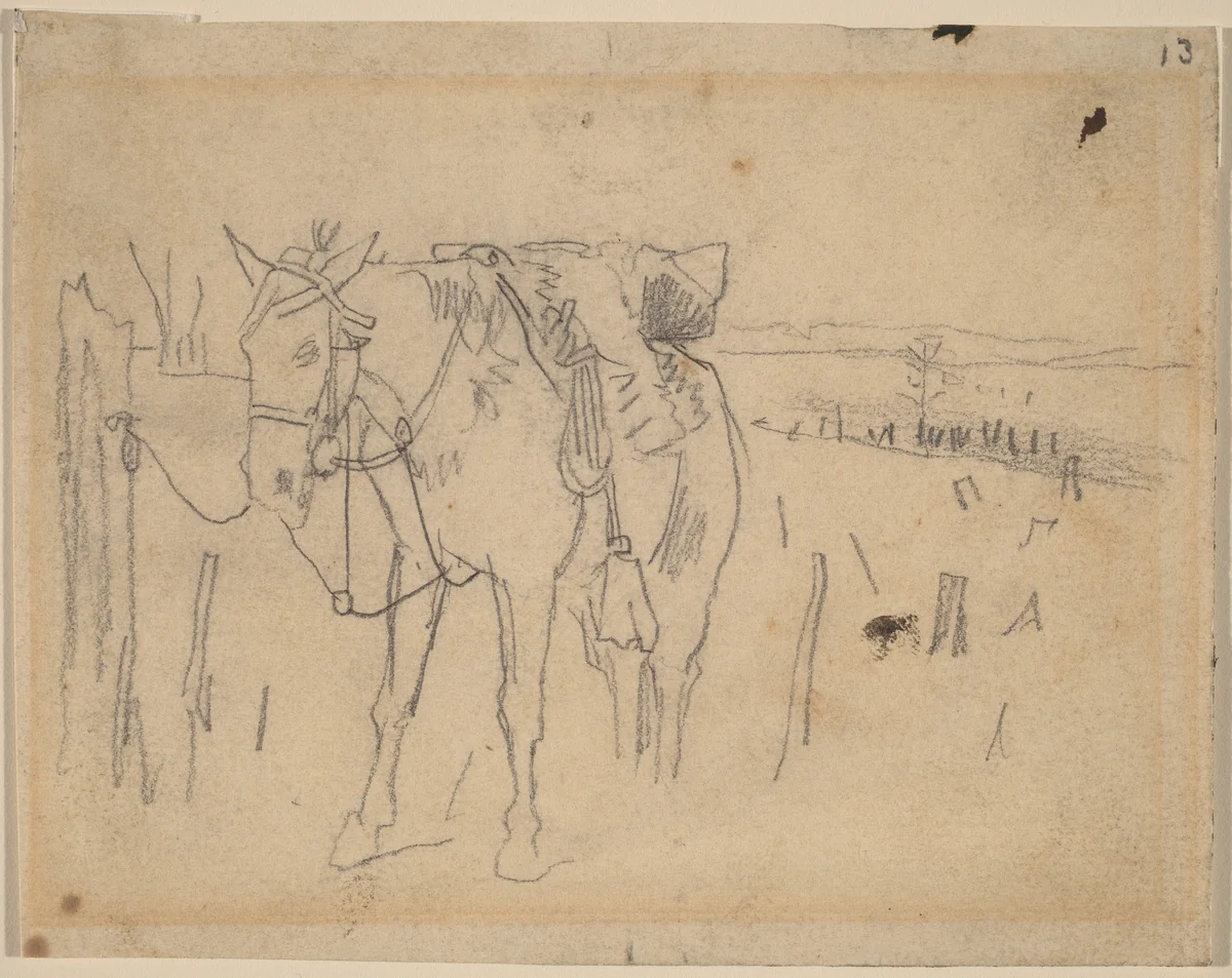 Tethered by Winslow Homer, drawing, 1864