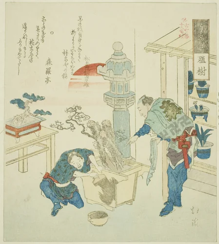 Potted Plant (Ueki), from the series "Eighteen Illustrations of the Ladder of Ancient Words (Kogentei juhachiban tsuzuki)" by Totoya Hokkei (魚屋北渓), print, 1831