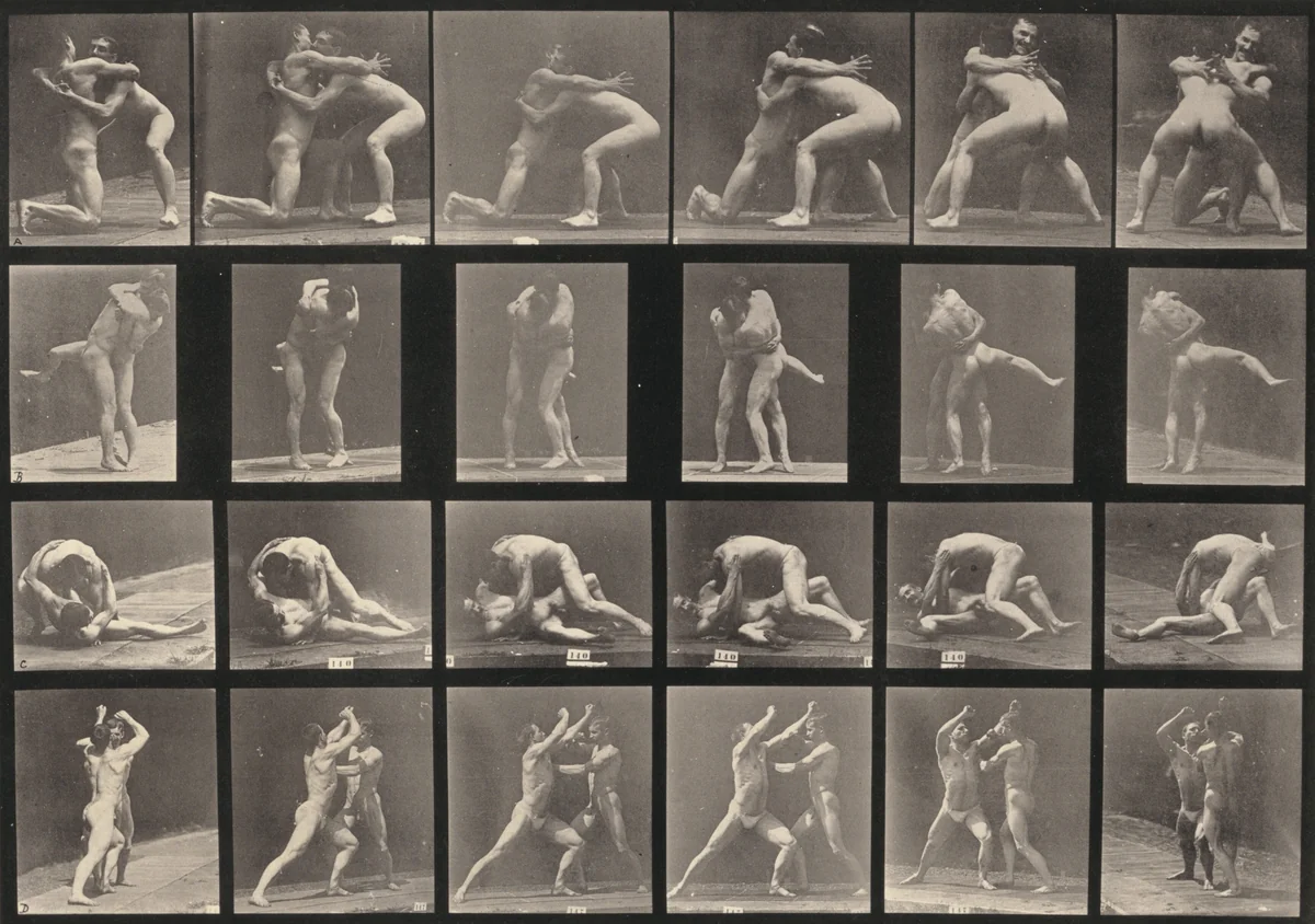 Plate Number 520. A-C: Wrestling. D: Sparring without gloves by Eadweard Muybridge, photograph, 1887