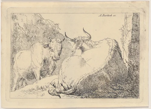 A reclining cow, seen from behind by Adam von Bartsch, print, 1803
