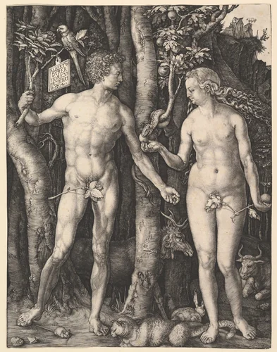 Adam and Eve by Albrecht Dürer, print, 1504