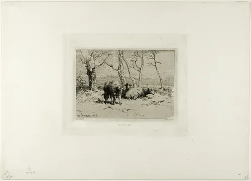 Sheep by Charles-Émile Jacque, print, 1868