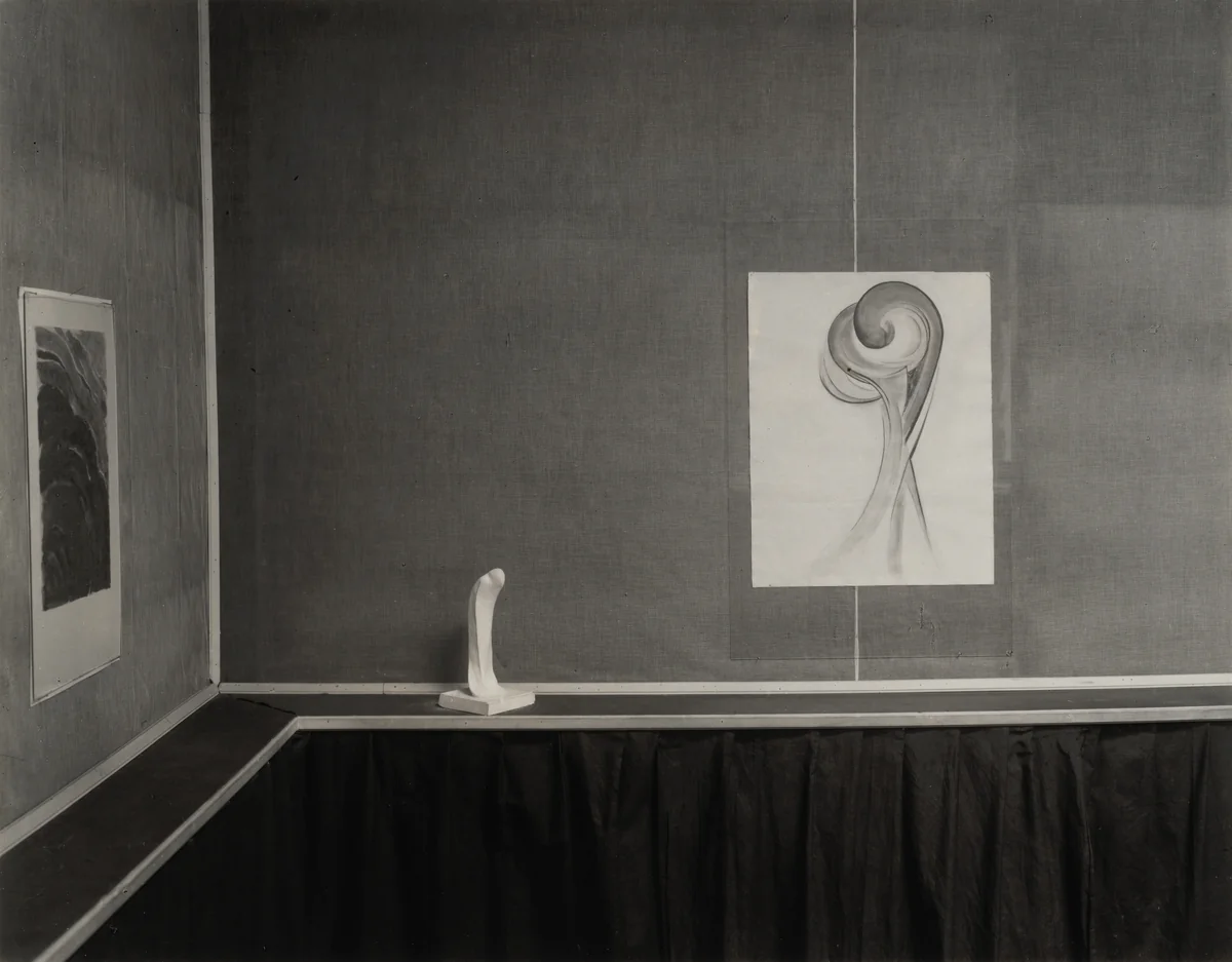 Georgia O'Keeffe—Exhibition at 291 by Alfred Stieglitz, photograph, 1917