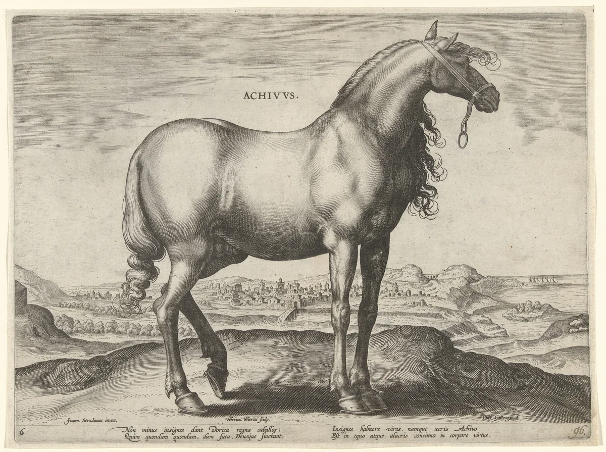 Paard uit Griekenland (Achivus) by Unknown, print, 1583-1587