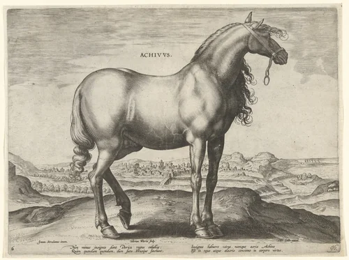 Paard uit Griekenland (Achivus) by Unknown, print, 1583-1587