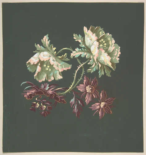 Two Roses and Two Small Flowers by anonymous, drawing, 1800-1899