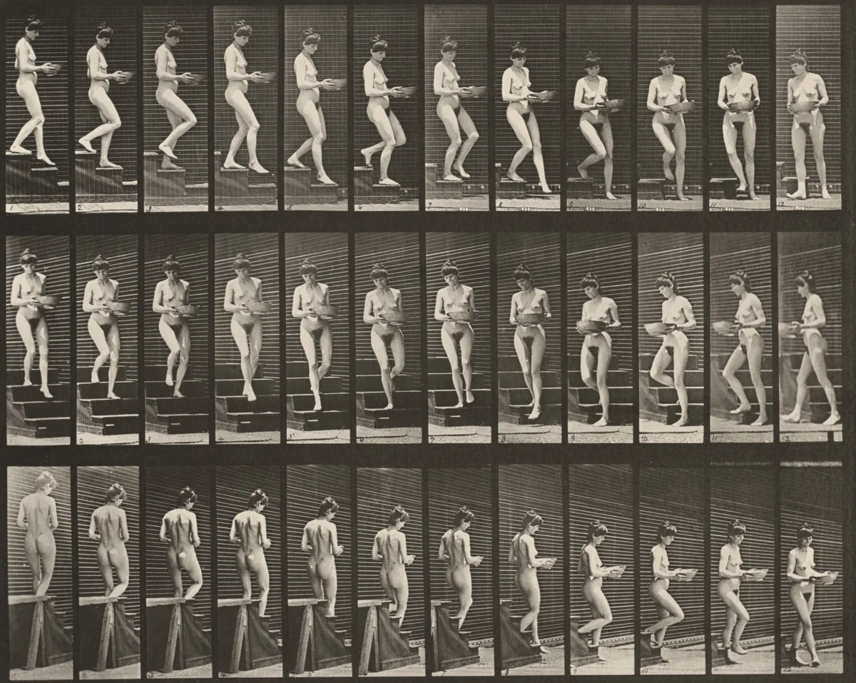 Plate Number 144. Descending stairs and turning with a basin in hands by Eadweard Muybridge, photograph, 1887