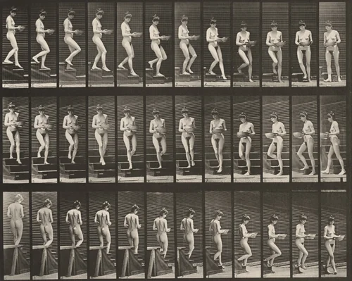 Plate Number 144. Descending stairs and turning with a basin in hands by Eadweard Muybridge, photograph, 1887