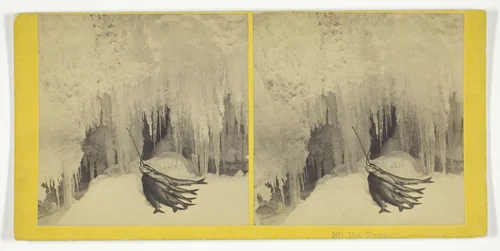 Trout by Kilburn Brothers, photograph, 1855-1875