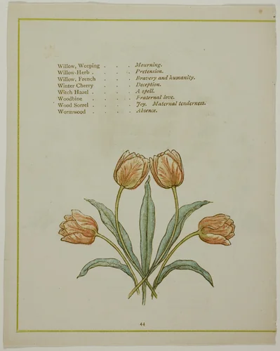 Decorative Illustration, from The Illuminated Language of Flowers by Edmund Evans, other, 1884
