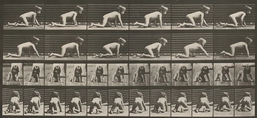 Plate Number 471. Child crawling on hands and knees by Eadweard Muybridge, photograph, 1887