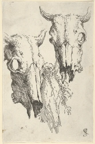 Two ox skulls and a portion of a third, study for "Democritus in Meditation" by Salvator Rosa, print, 1662