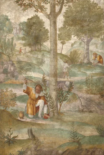 Cephalus Hiding the Jewels by Bernardino Luini, painting, 1520-1522