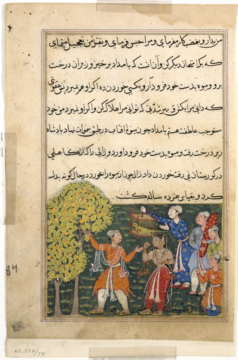 The king plucks fruit from the Tree of Life with his own hands and feeds it to a lady, from a Tuti-nama (Tales of a Parrot): Ninth Night by Suraju, painting, 1555-1565