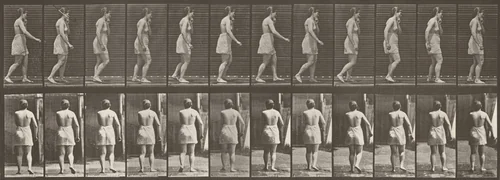 Plate Number 543. Spastic walking by Eadweard Muybridge, photograph, 1887