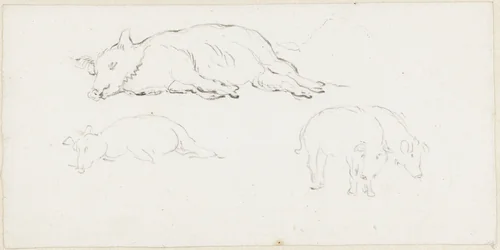 Twee studies van een liggend varken en twee staande varkens by Pieter Bartholomeusz. Barbiers, drawing, 1782-1837