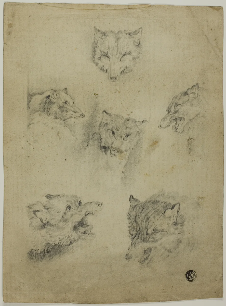 Six Sketches of Wolf Heads by Unknown Artist, drawing, 1500-1899