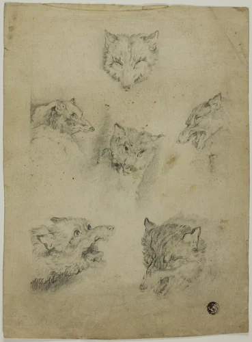 Six Sketches of Wolf Heads by Unknown Artist, drawing, 1500-1899