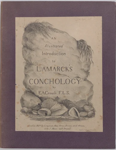 An Illustrated Introduction to Lamarck's Conchology; Contained in His Histoire Naturelle des Animaux Sans Vertèbres: Being a Literal Translation of the Descriptions of the Recent and Fossil Genera. by Edmund A. Crouch, book, 1827
