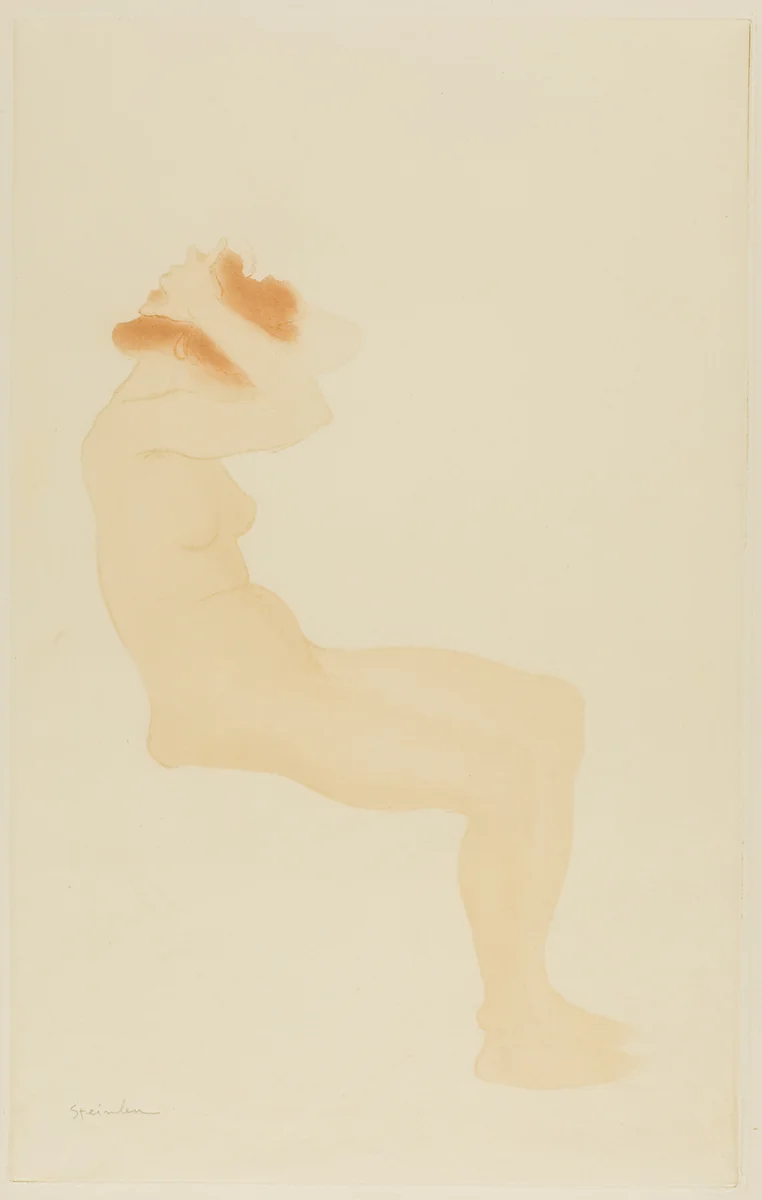 Woman in Profile Fixing Her Hair by Théophile Alexandre Steinlen, print, 1902