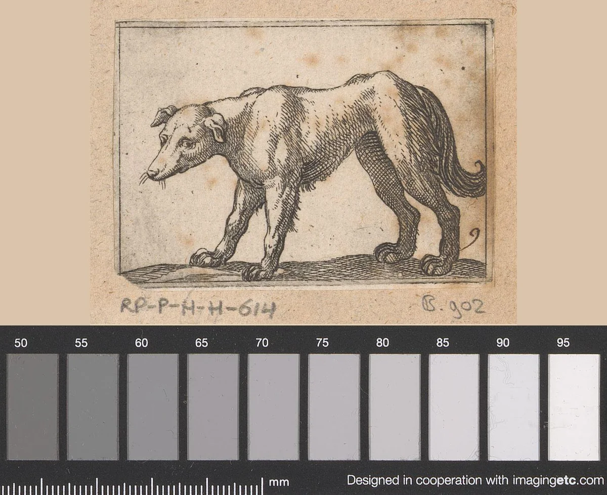 Staande hond naar links gewend by Antonio Tempesta, print, 1565-1630