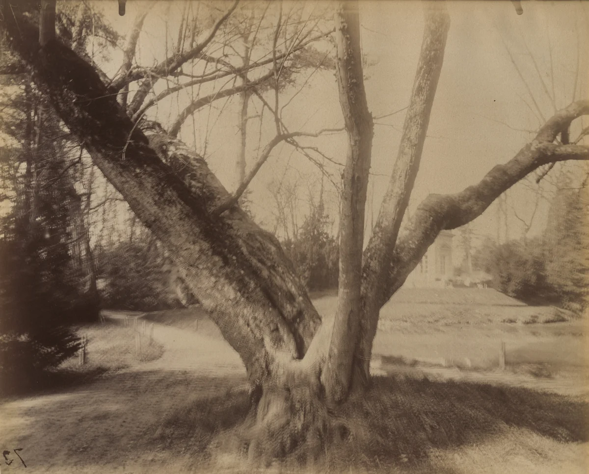 Trianon by Eugène Atget, photograph, 1910