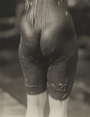 Ellen Koeniger, Lake George by Alfred Stieglitz, photograph, 1916
