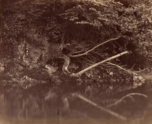 River Bank in the Vale of Neath by G. B. Gething, photograph, 1850-1860