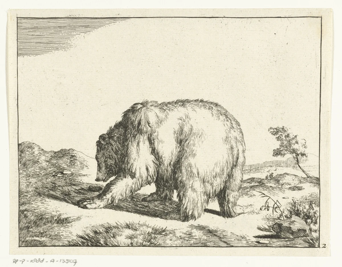 Staande beer, van achter gezien by Marcus de Bye, print, 1664