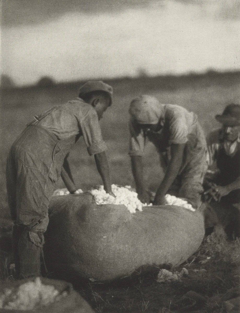 Untitled by Doris Ulmann, photograph, 1929