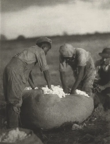 Untitled by Doris Ulmann, photograph, 1929