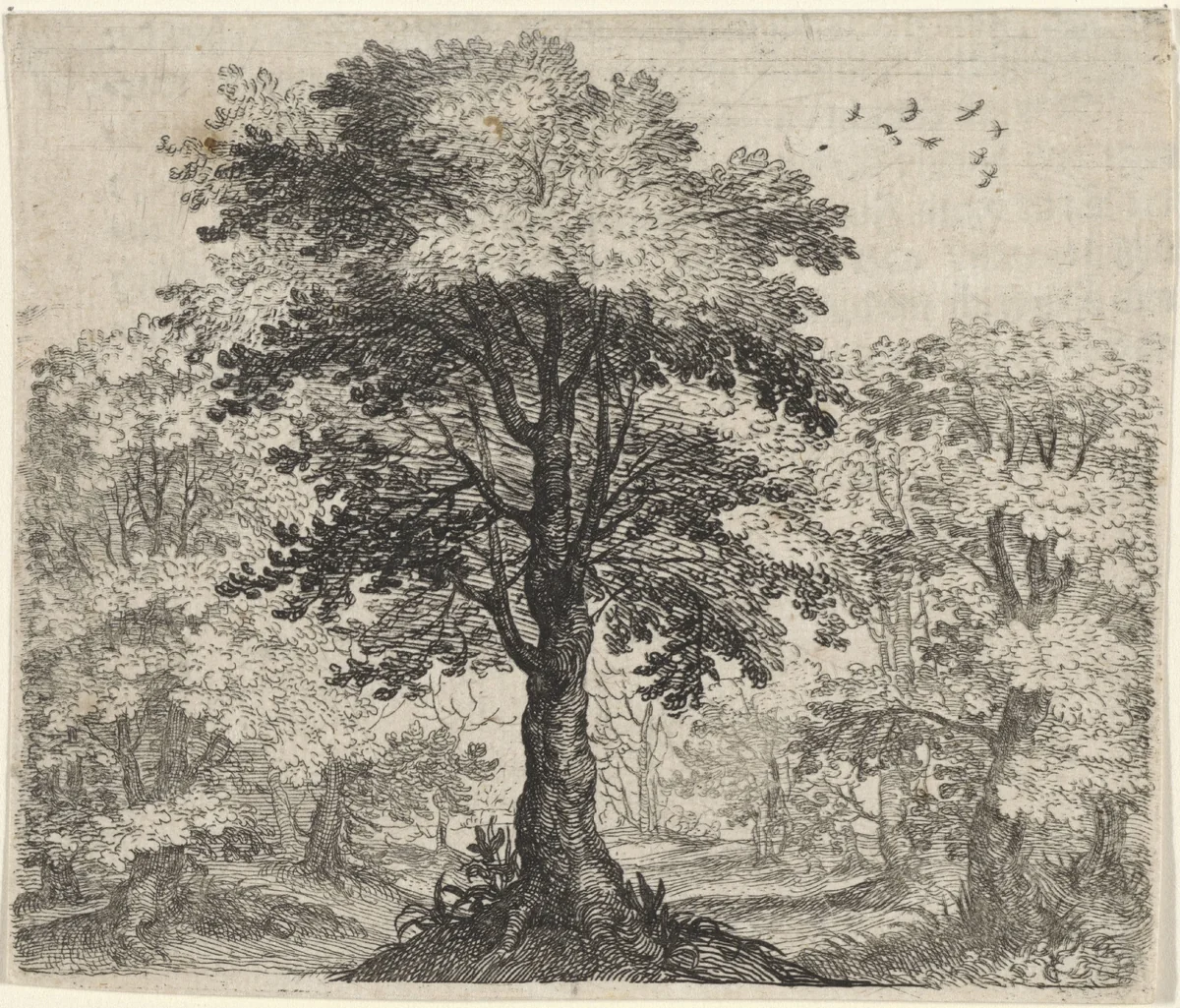 Fabel van de olm en de eik by Aegidius Sadeler, print, 1608