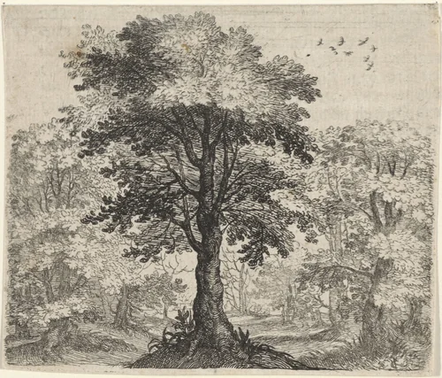 Fabel van de olm en de eik by Aegidius Sadeler, print, 1608
