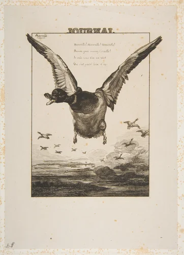 Le Canard by Félix Bracquemond, print, 1856