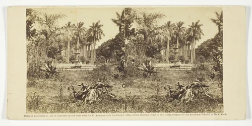 View at the Bishop's Garden, Havana, No. 16 from the series "Scenes in Cuba" by Anthony & Company, photograph, 1860