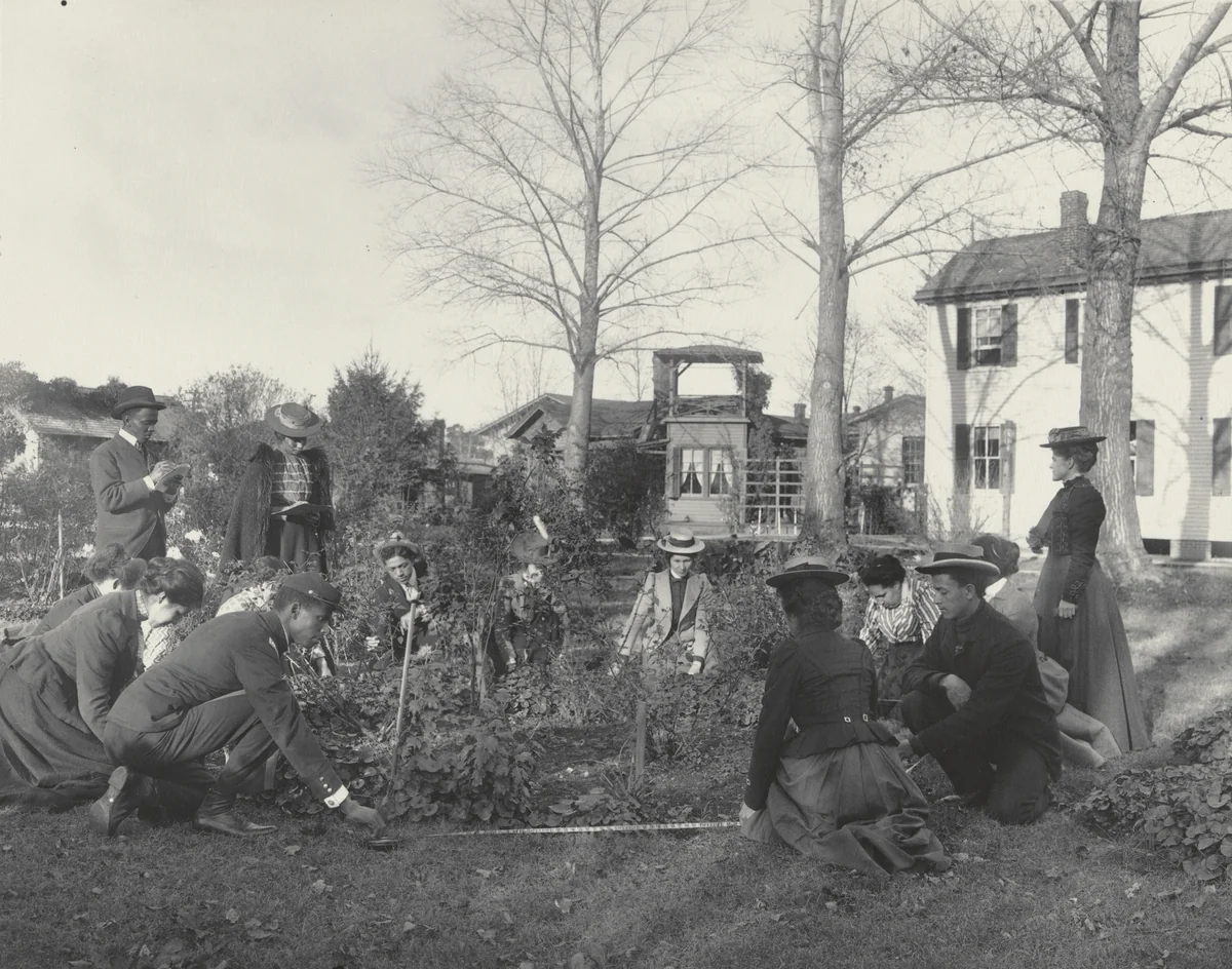 Arithmetic. Measuring circles by Frances Benjamin Johnston, photograph, 1899