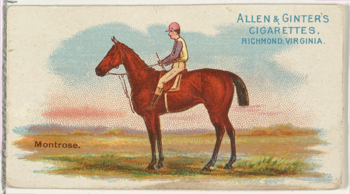 Montrose, from The World's Racers series (N32) for Allen & Ginter Cigarettes by Allen & Ginter, print, 1888