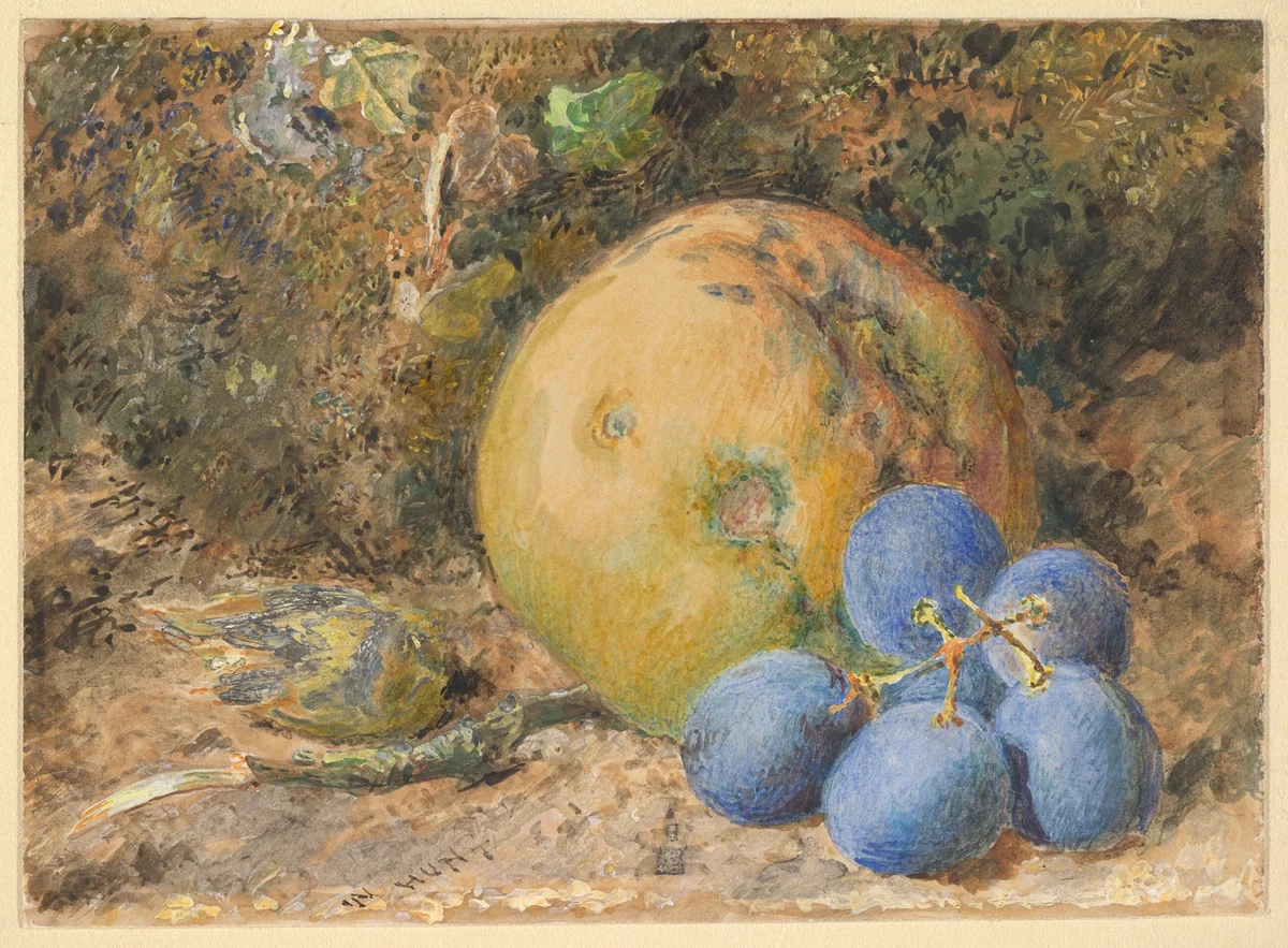 An apple, grapes and a hazelnut on a mossy bank by William Henry Hunt, drawing, 1830-1864