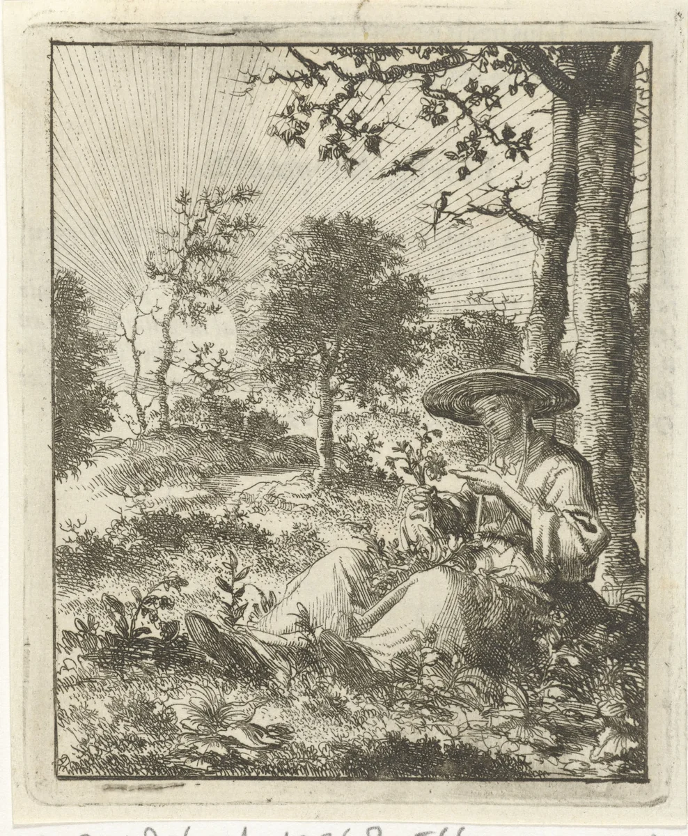 Vrouw bekijkt bloemen in het veld by Jan Luyken, print, 1687