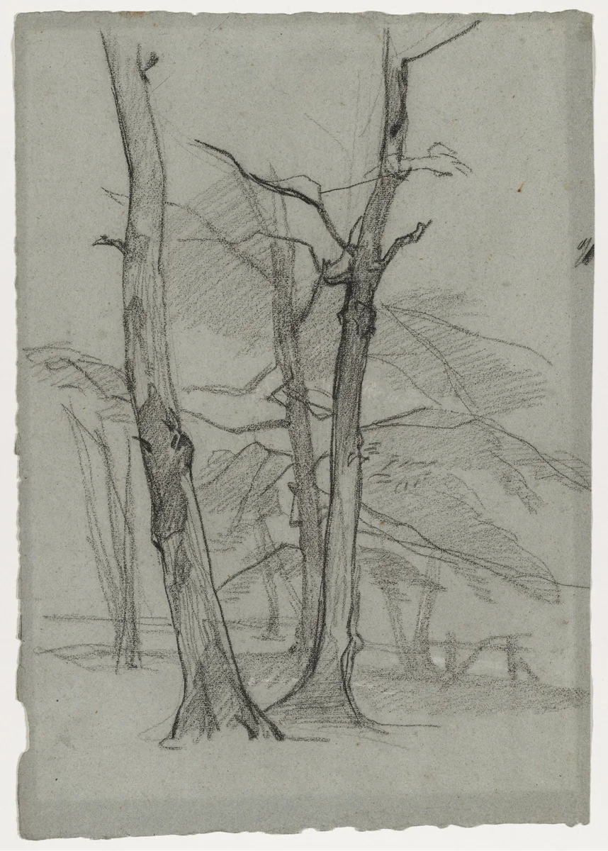 Landscape Study with Trees by Thomas Couture, drawing, 1870-1875