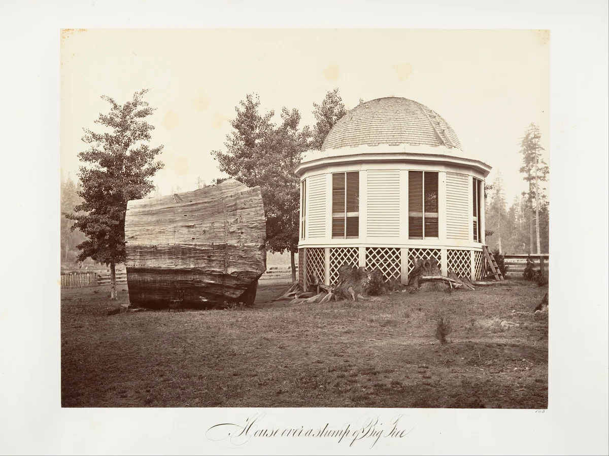 The House over a Stump of a Big Tree by Carleton E. Watkins, photograph, 1865-1866