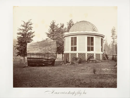 The House over a Stump of a Big Tree by Carleton E. Watkins, photograph, 1865-1866