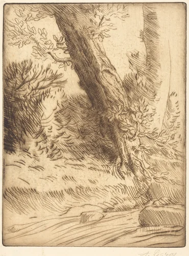 Edge of a Brook (Bord de ruisseau) by Alphonse Legros, print, 1837-1911