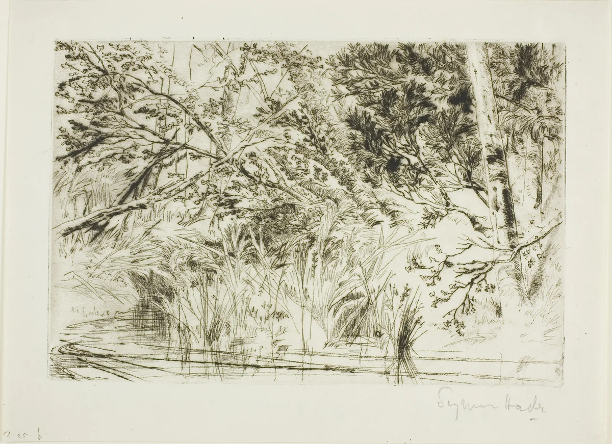 Mouth of a Brook, No. II by Francis Seymour-Haden, print, 1854-1864